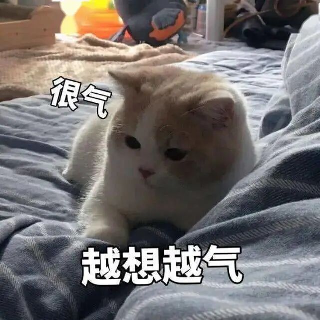 x光机为什么影像科诊断报告为什么那么慢？_https://www.jmylbn.com_新闻资讯_第22张