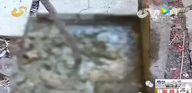 美智源净水器-开水烫不死的寄生虫又出现了!不是闹着玩,小心被吸血! 美智源净水器-开水烫不死的寄生虫又出现了!不是闹着玩,小心被吸血!