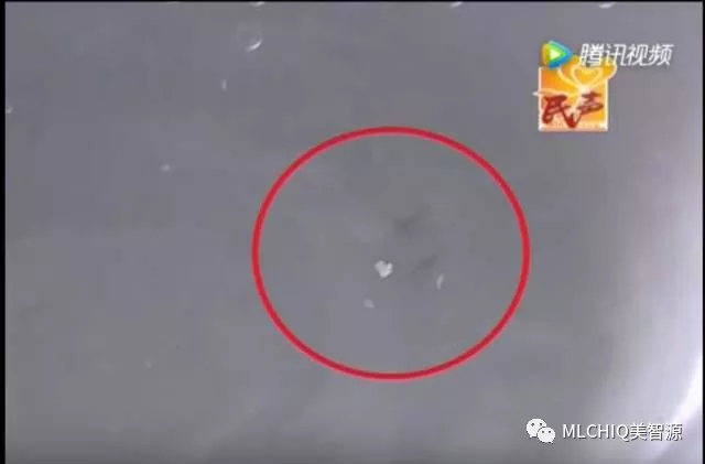 美智源净水器-开水烫不死的寄生虫又出现了!不是闹着玩,小心被吸血! 美智源净水器-开水烫不死的寄生虫又出现了!不是闹着玩,小心被吸血!