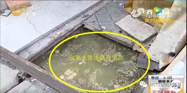 美智源净水器-开水烫不死的寄生虫又出现了!不是闹着玩,小心被吸血! 美智源净水器-开水烫不死的寄生虫又出现了!不是闹着玩,小心被吸血!