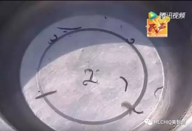 美智源净水器-开水烫不死的寄生虫又出现了!不是闹着玩,小心被吸血! 美智源净水器-开水烫不死的寄生虫又出现了!不是闹着玩,小心被吸血!