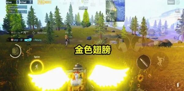 和平精英国际服挂免费_和平精英国际服怎么使用外挂_和平精英国际服挂软件免费