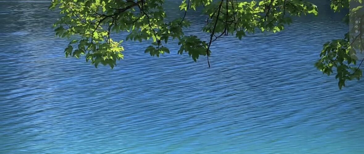 陈小春:老婆,我马上来了,等我