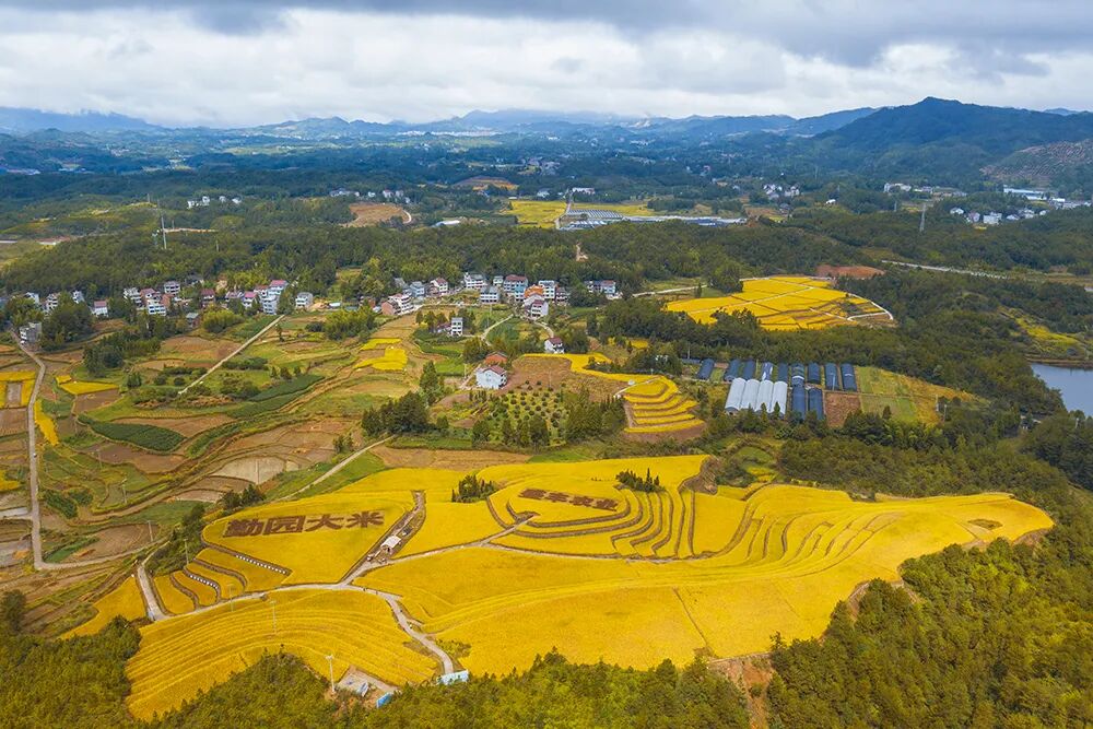 美丽乡村|中国摄影家协会·影像中国网·在线影展精选