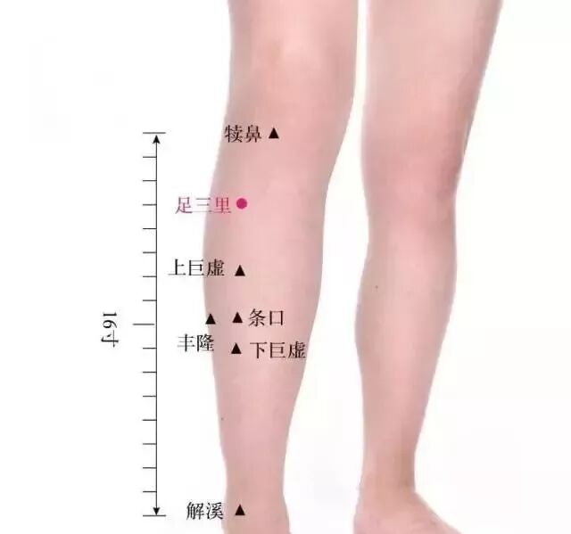 艾灸的这8句口诀，涵盖了人体大部分疾病|养生知识-南阳宛艾产业协会