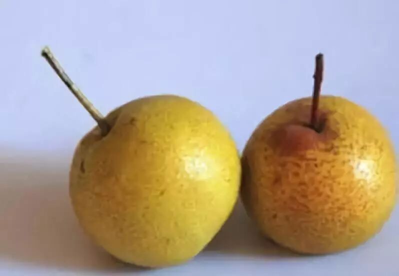 五脏各有“火”，祛火方法大不同！|养生知识-南阳宛艾产业协会