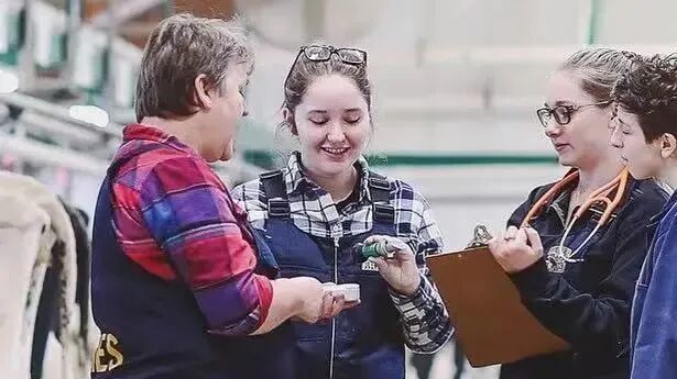 640 - 2025-05-23T173257.503.jpg