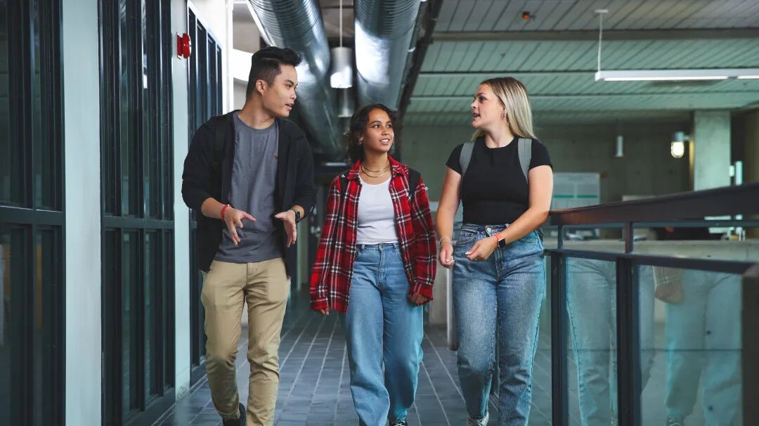 640 - 2025-05-26T095535.003.jpg