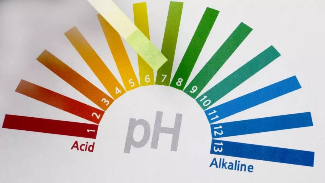 欧莱雅活性健康化妆_解密人体9种体质的健康养生方案_化妆品与人体健康