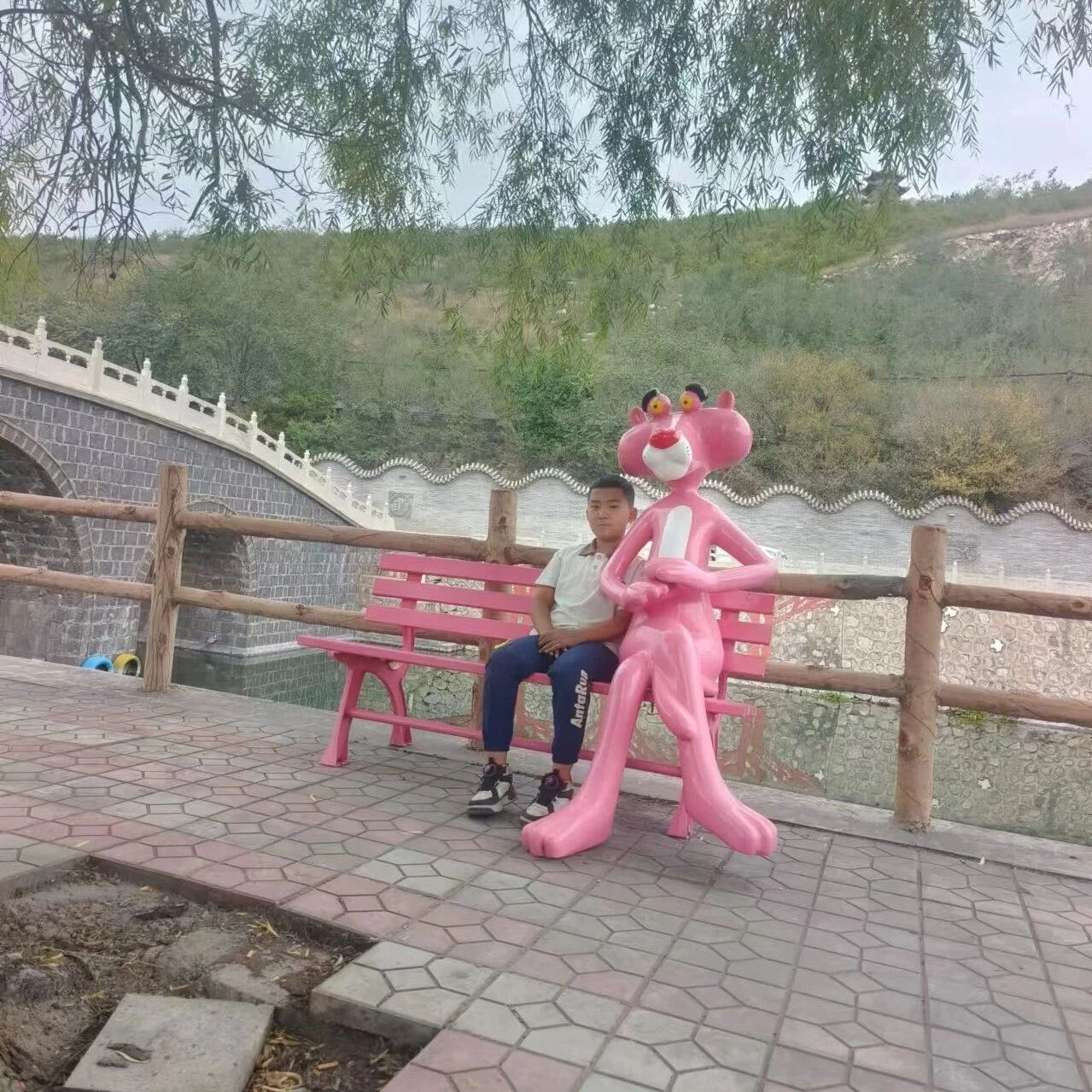 【山西】张荣灏《会飞的母鸡》指导老师：周永煜