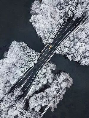 紫薇命盘免费详解_紫薇命盘免费测试_紫微免费命盘详解