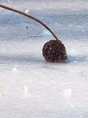 超准紫微命盘免费命格_紫薇命盘免费测试_紫薇命盘免费详解