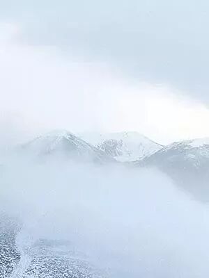 紫微免费命盘详解_紫薇命盘免费测试_紫薇命盘免费详解