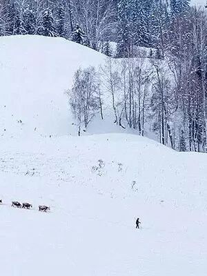 超准紫微命盘免费命格_紫薇命盘免费详解_紫薇命盘免费测试