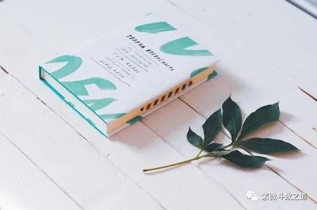 紫薇命盘免费测试_超准紫微命盘免费命格_紫薇命盘免费详解