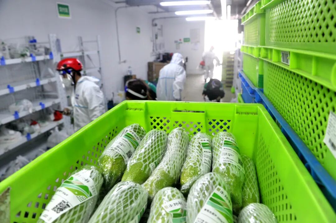 每天超3000单记者探访叮咚买菜前置仓