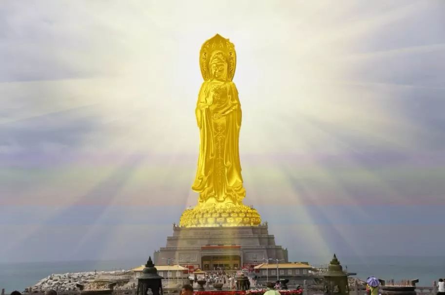 世上有十种放生_到底能不能放生_世间不能放生的生物有