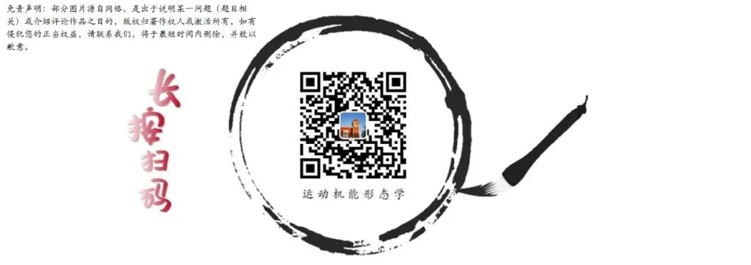 上皮细胞用什么染色被覆上皮组织的形态结构与功能及HE染色法_https://www.jmylbn.com_新闻资讯_第8张
