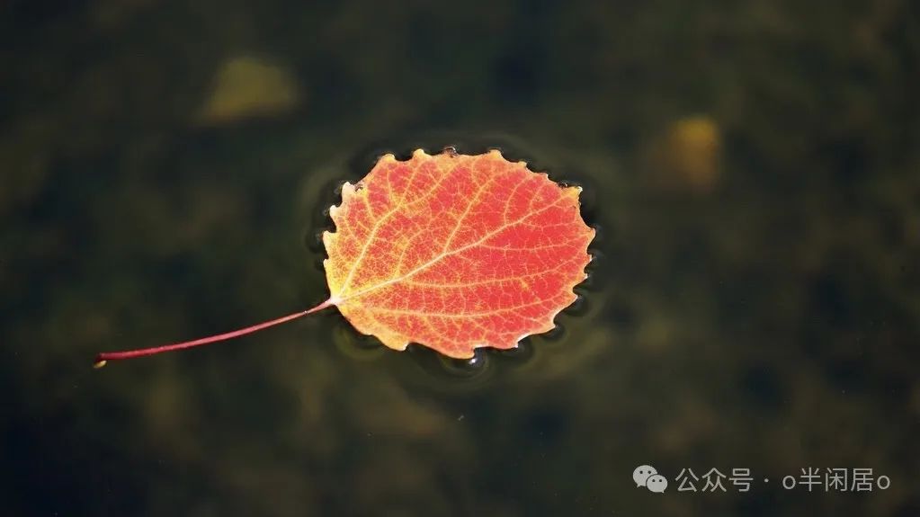 七言绝句饮酒顺口溜