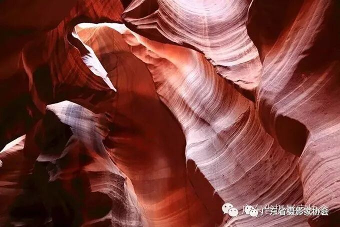 羚羊彩穴 罗 旭摄.jpg