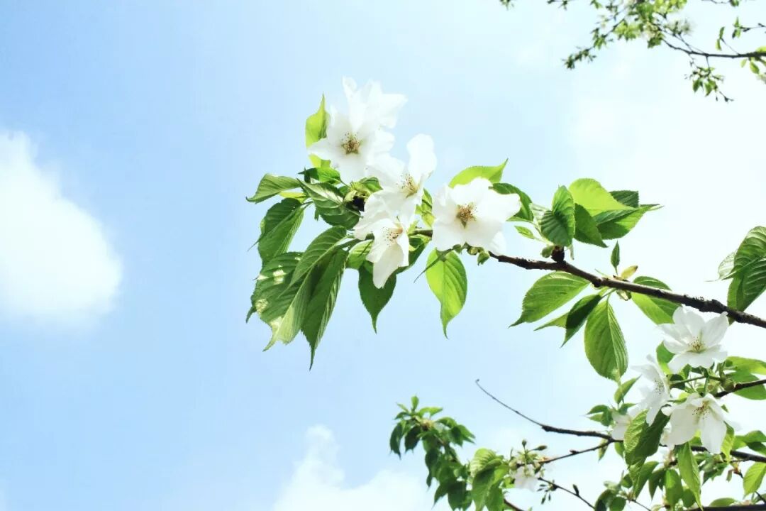 人生最好的状态，都在这7句话里