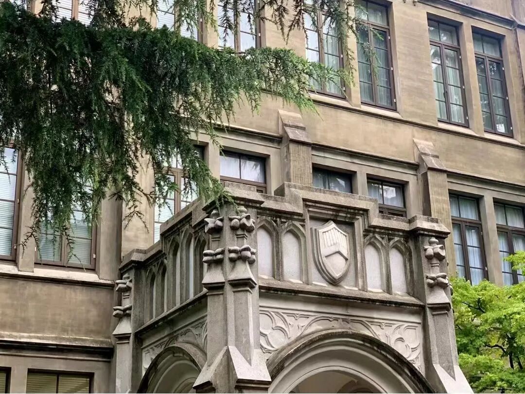 日本大学校园里的诗与花