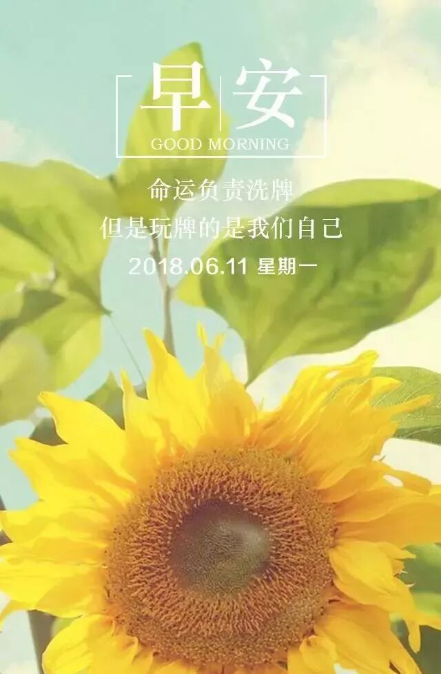 励志经典语句励志心语正能量语录 励志人生名言语录 微信公众号文章阅读 Wemp
