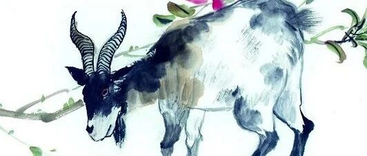 一生不缺钱的三大生肖，人人羡慕！