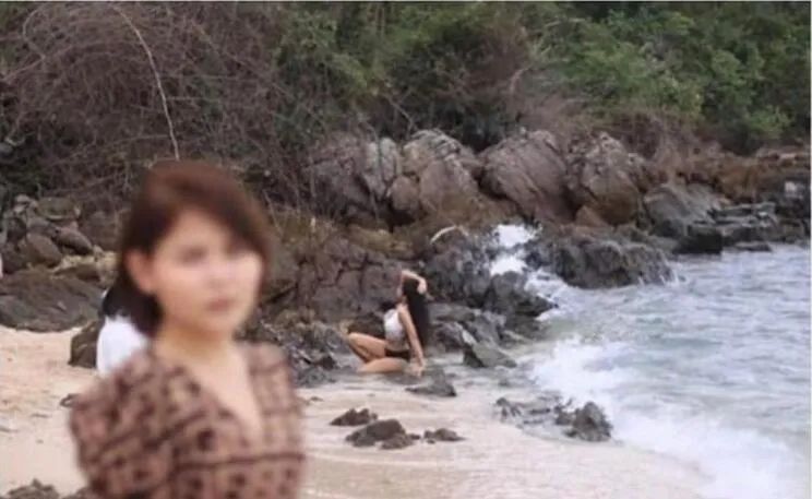 美女逗狗逗猫所引出的问题-微信头条网 美女逗狗逗猫所引出的问题