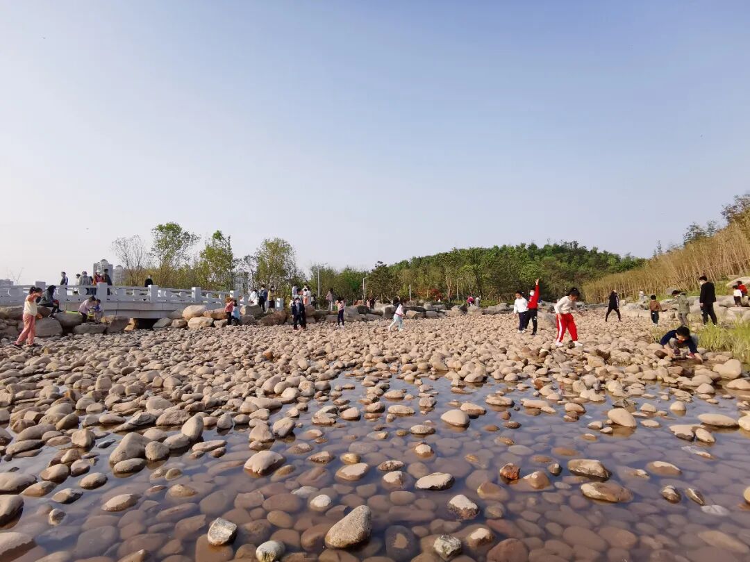 长安这个公园火了西安人再添网红打卡地