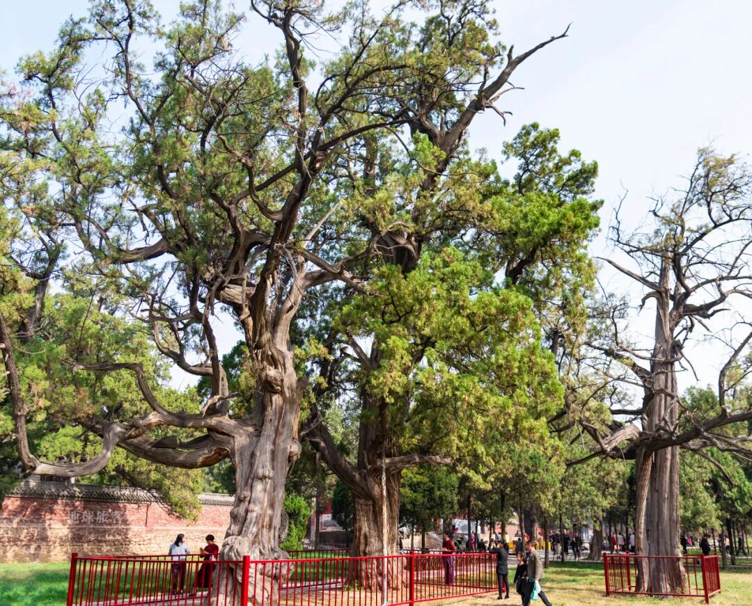 中岳山神是谁_中岳山指的是_中岳是什么山