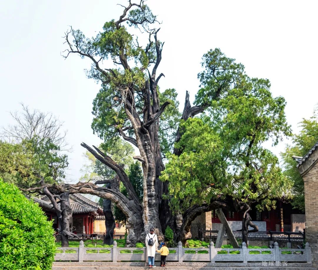 中岳山指的是_中岳山神是谁_中岳是什么山