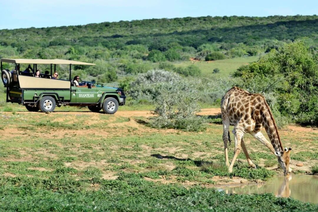 赞比亚属于南非吗_南非的所在洲_南非属于哪个洲