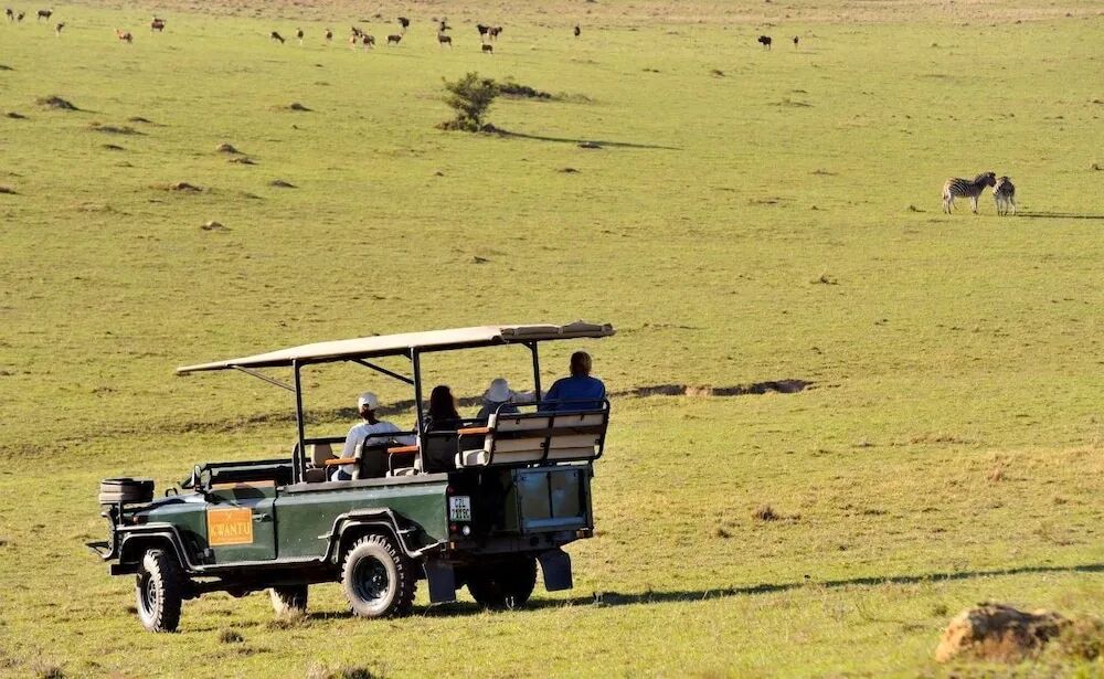 南非属于哪个洲_南非的所在洲_赞比亚属于南非吗