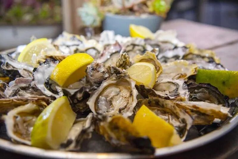 赞比亚属于南非吗_南非属于哪个洲_南非的所在洲