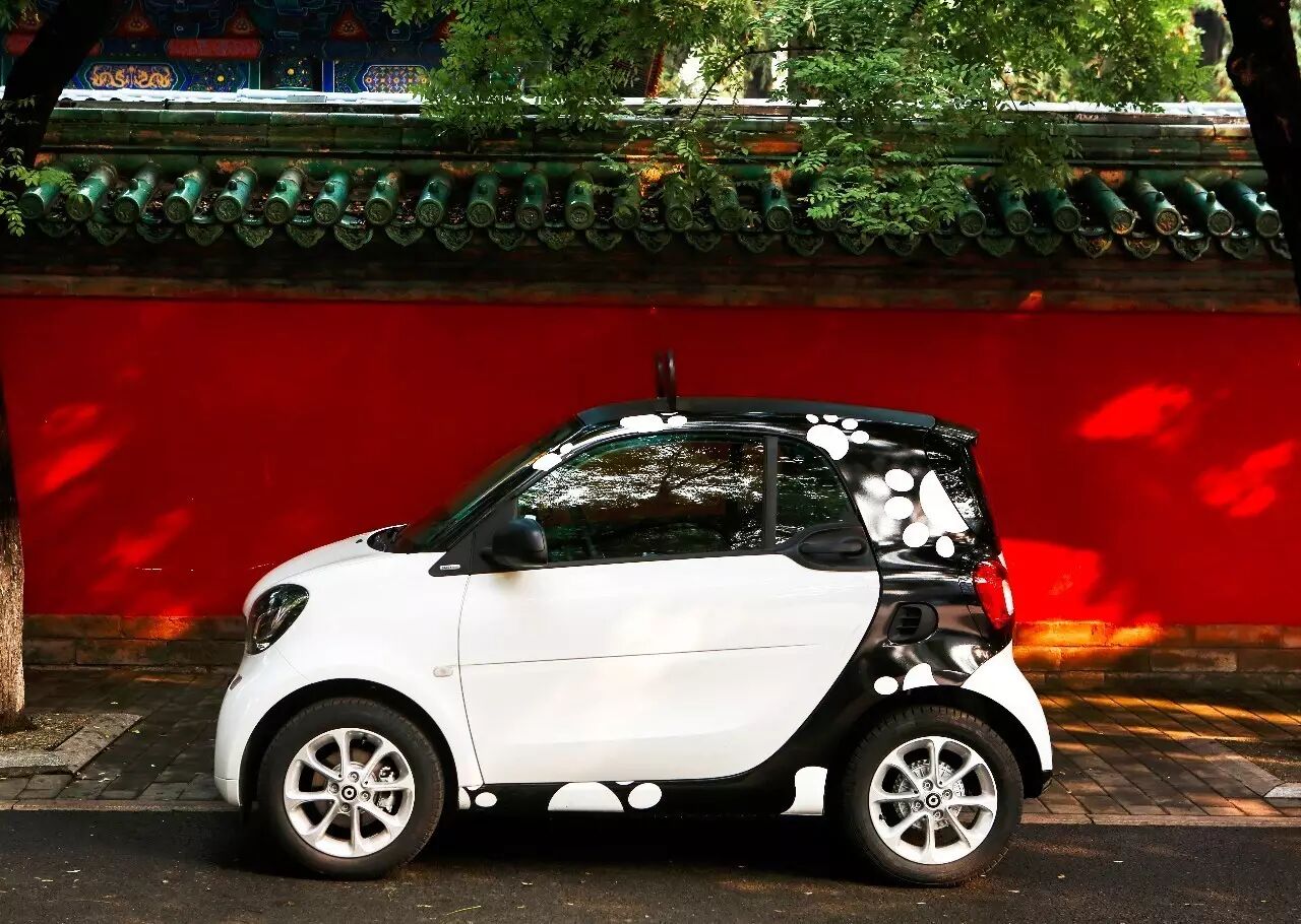 萌主来袭玩趣黑白丨smart熊猫版乖萌上市,城市秒变开心乐园