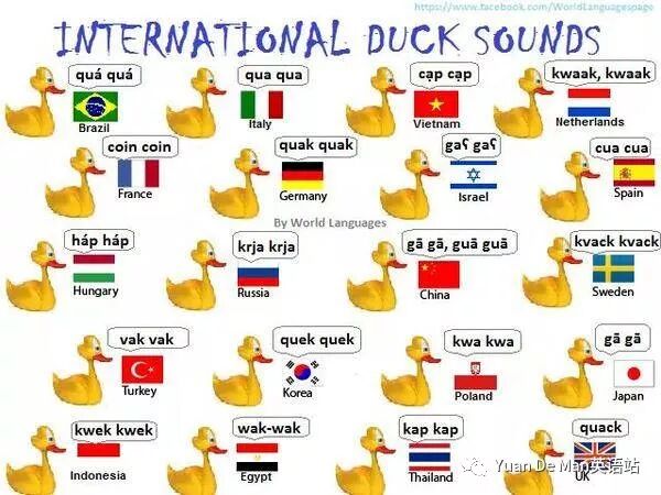 叫声拟猪词声怎么读_叫声拟猪词声的意思_猪叫声的拟声词