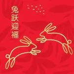 兔跃生财！领取大华银行中国兔年定制专属红包封面~