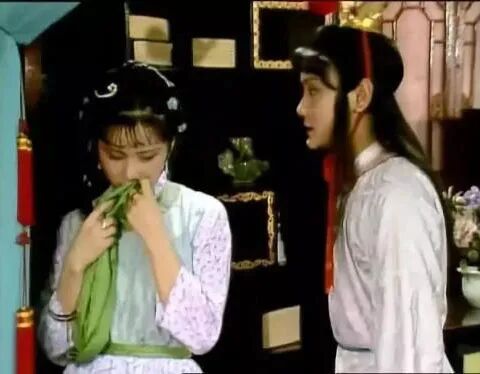 红楼别梦_李少红红楼梦_红楼遗梦——我的红楼故事