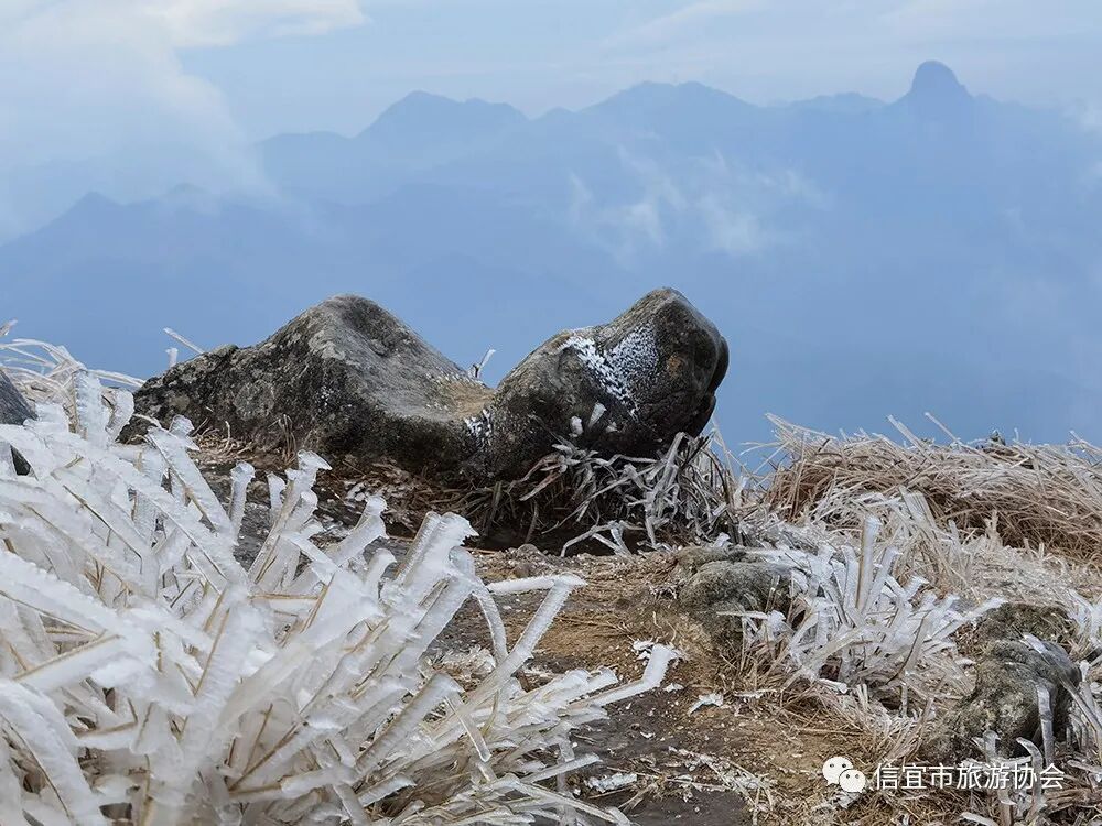 全体信宜人有一份信宜景区专属优惠福利待领取10元邀你畅游天马山