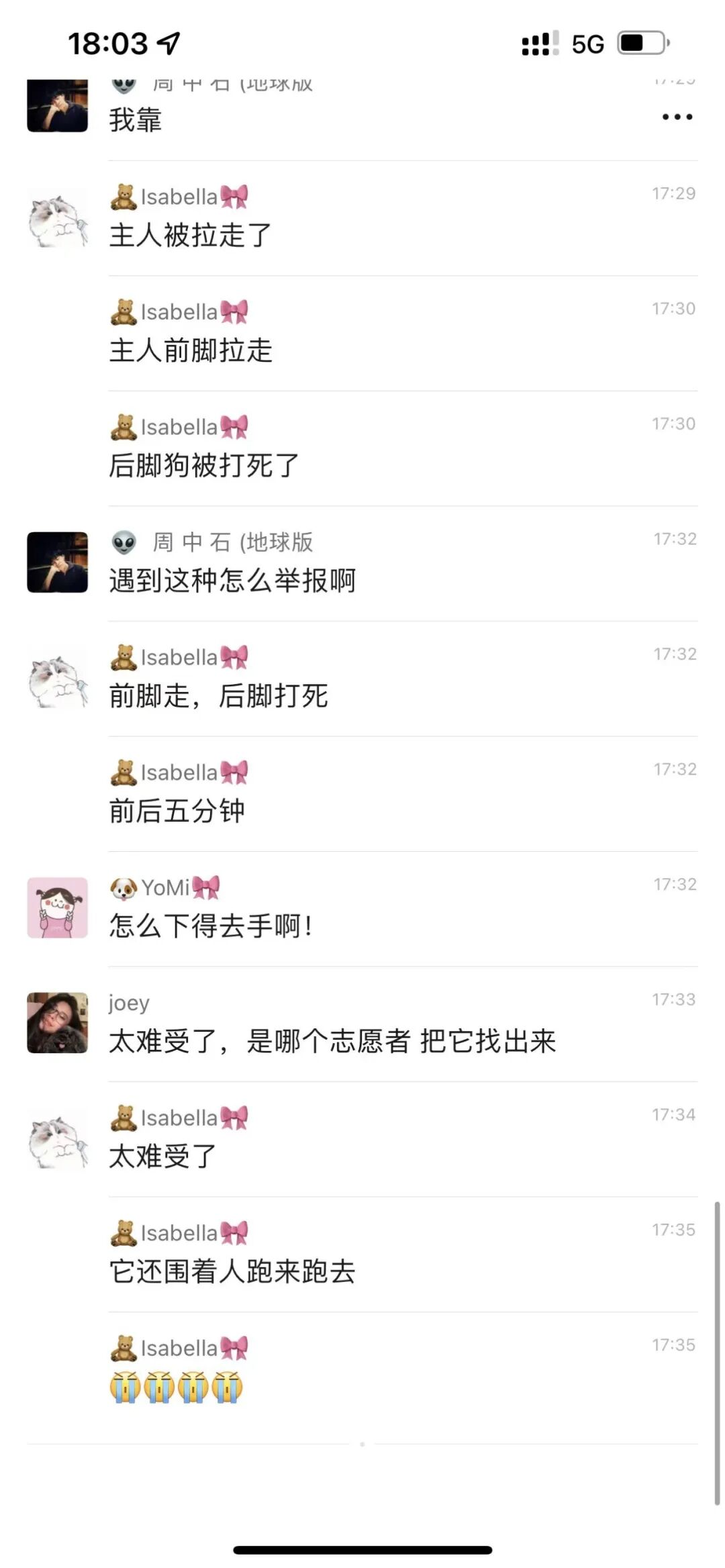 上海某地柯基惨遭当街拍死，主人转阳被带走，围观者惊呼“太残忍”（视频/组图） - 2