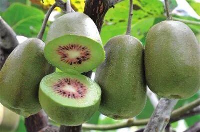 ��ŷ������־Э����ʽ��Ч ����ˮ2����Ʒ�����뻥���嵥