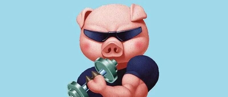 聊一款猛男蹲坑必备的游戏