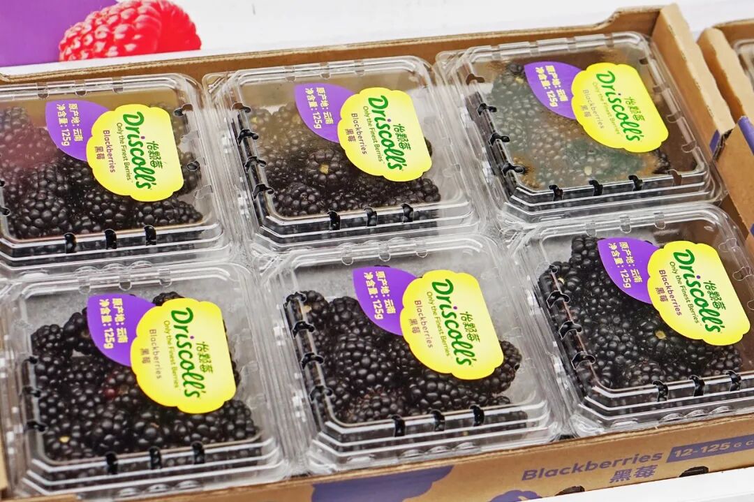 买苹果6s还是买苹果7_金皮苹果在哪买_苹果6跟苹果6s买哪个好