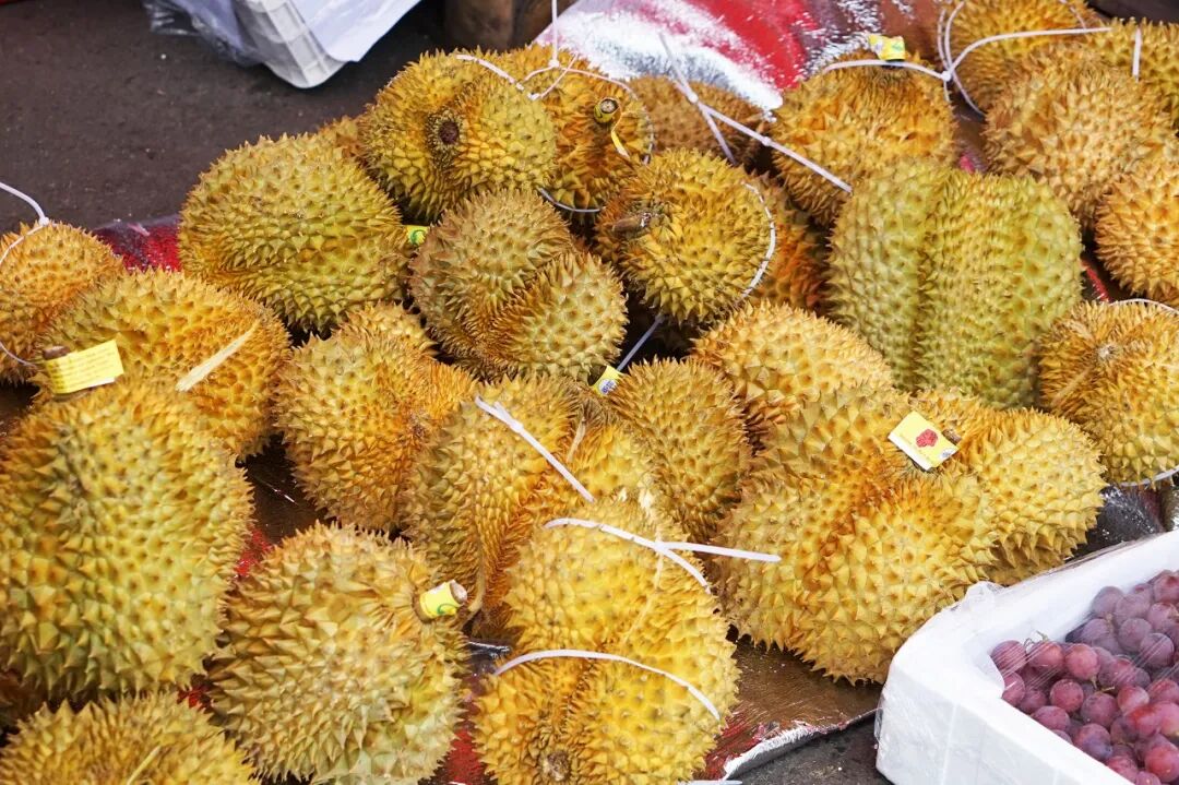 苹果6跟苹果6s买哪个好_金皮苹果在哪买_买苹果6s还是买苹果7