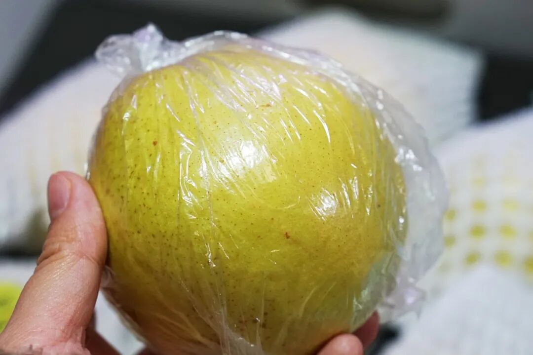 苹果6跟苹果6s买哪个好_买苹果6s还是买苹果7_金皮苹果在哪买