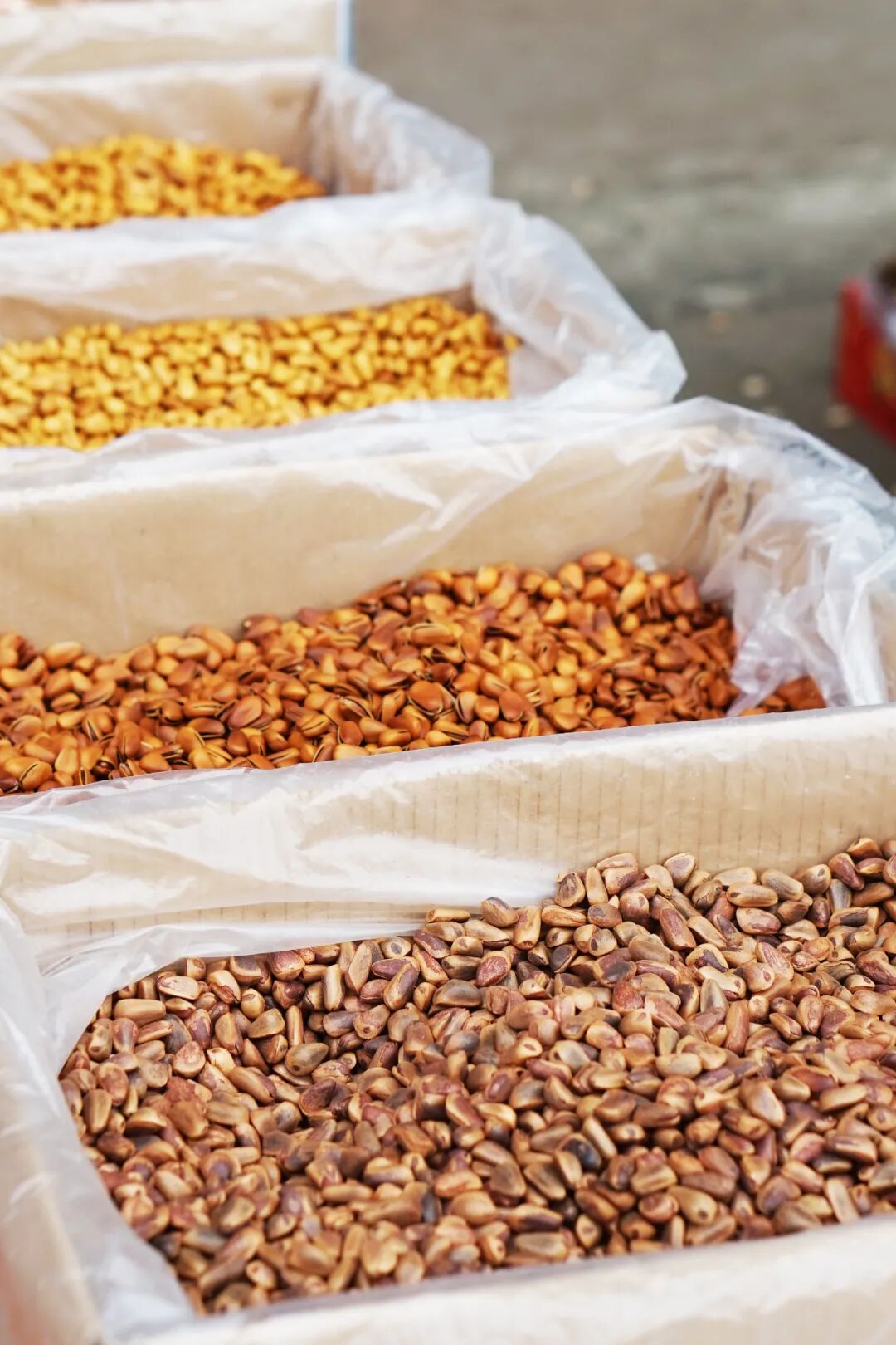 买苹果6s还是买苹果7_苹果6跟苹果6s买哪个好_金皮苹果在哪买