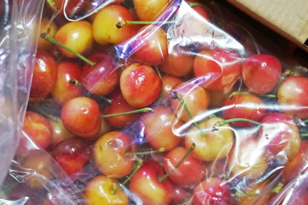 买苹果6s还是买苹果7_金皮苹果在哪买_苹果6跟苹果6s买哪个好