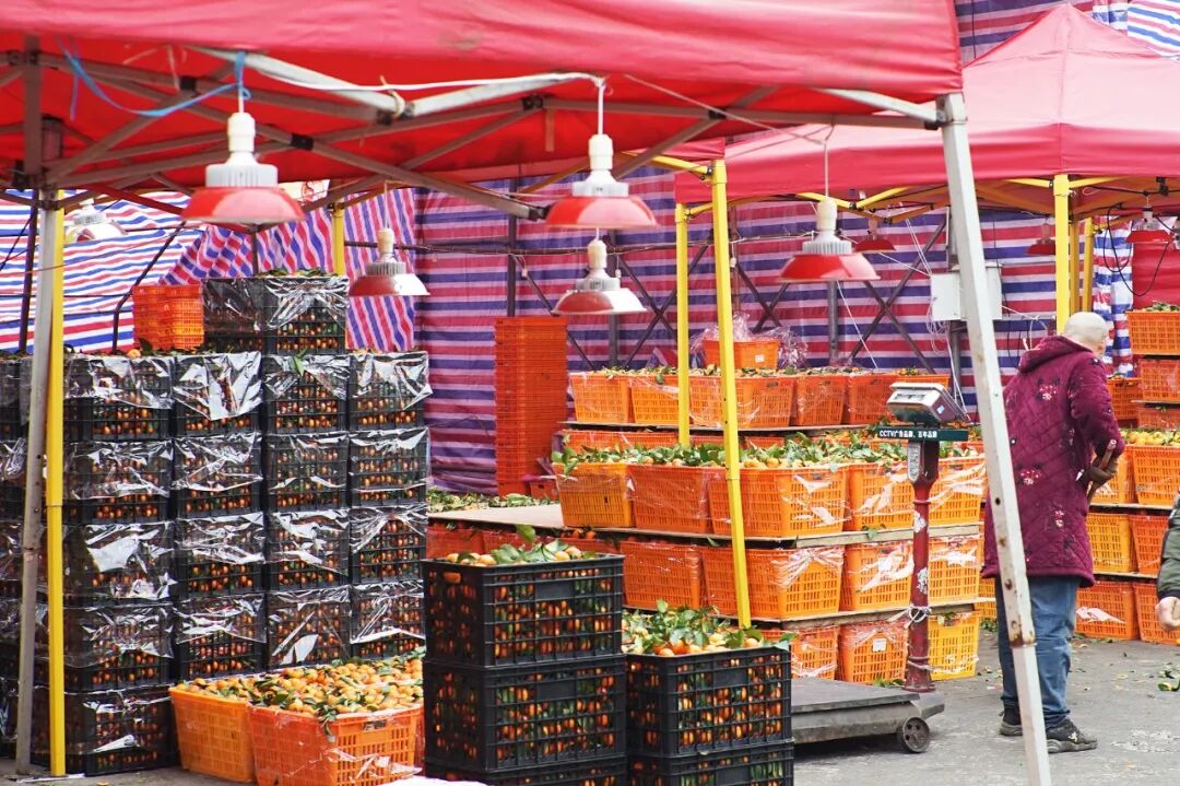 金皮苹果在哪买_买苹果6s还是买苹果7_苹果6跟苹果6s买哪个好