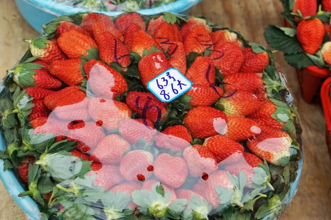 苹果6跟苹果6s买哪个好_买苹果6s还是买苹果7_金皮苹果在哪买